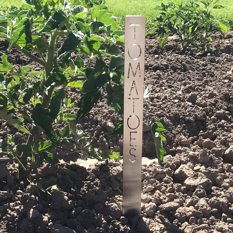 Tomatoes garden marker staked in dirt