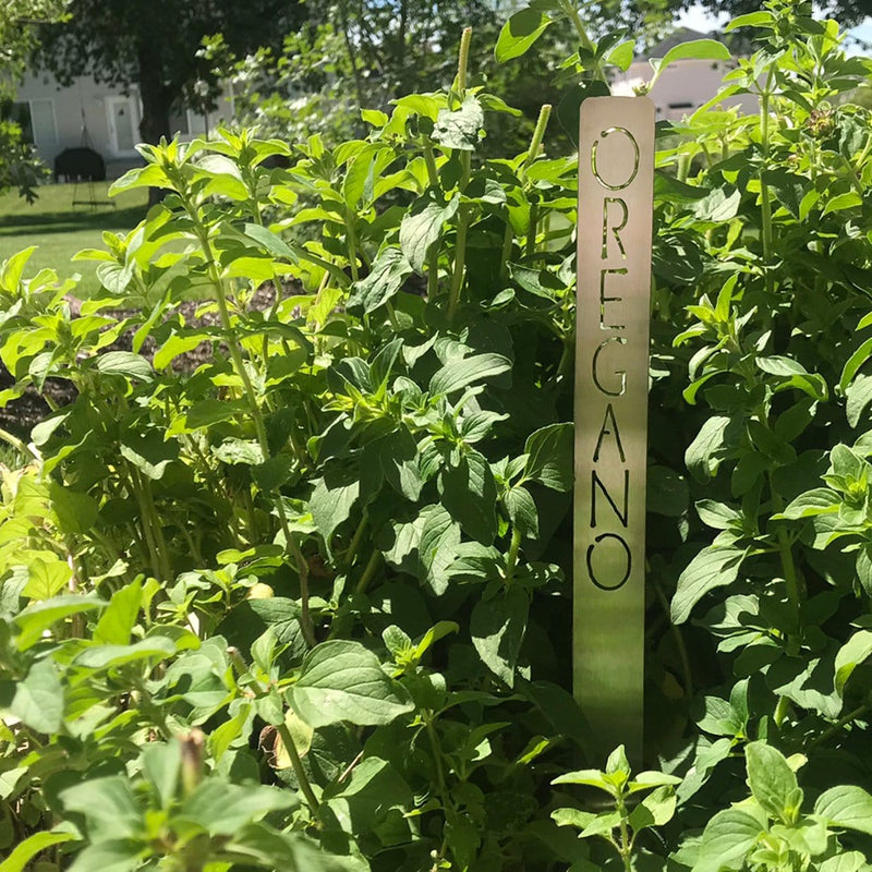 Oregano garden marker staked in bush