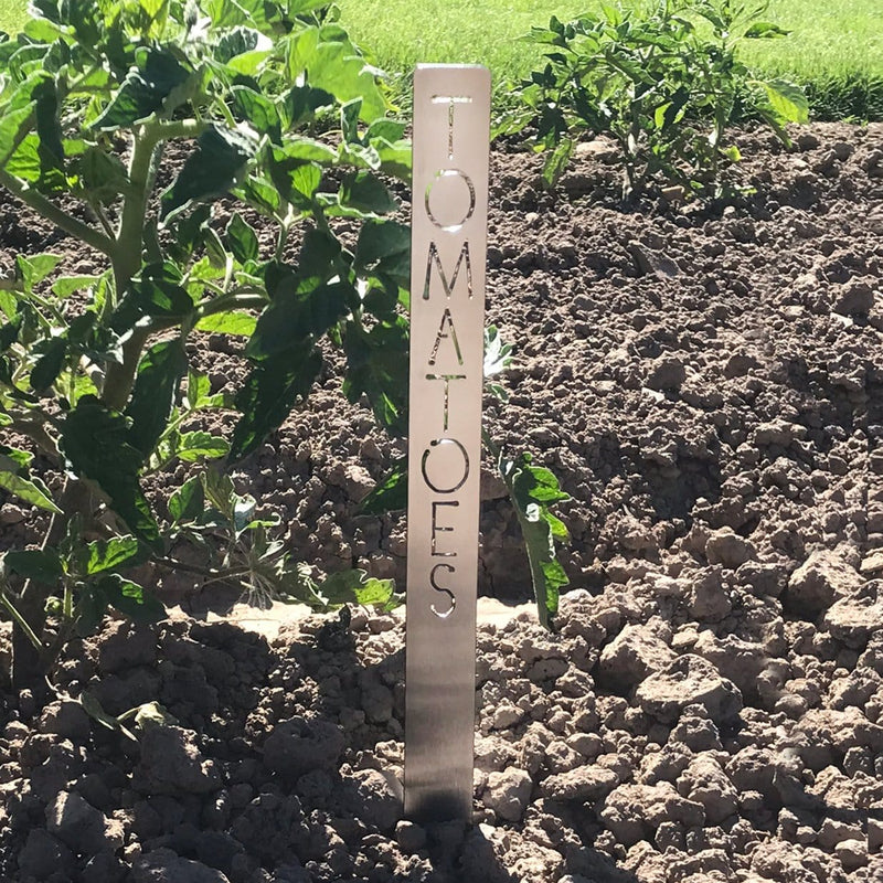 Tomato garden marker staked in the dirt