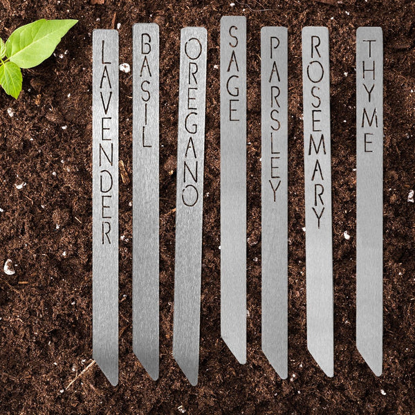 Garden markers lying in the dirt