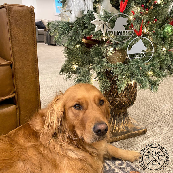 Round metal ornaments with personalized dog name and breed silhouette, hanging on plant next to dog.