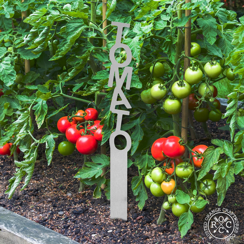 Tomato garden markers staked with tomato plants