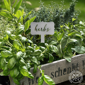 Thyme metal herb identification stake in herb garden.