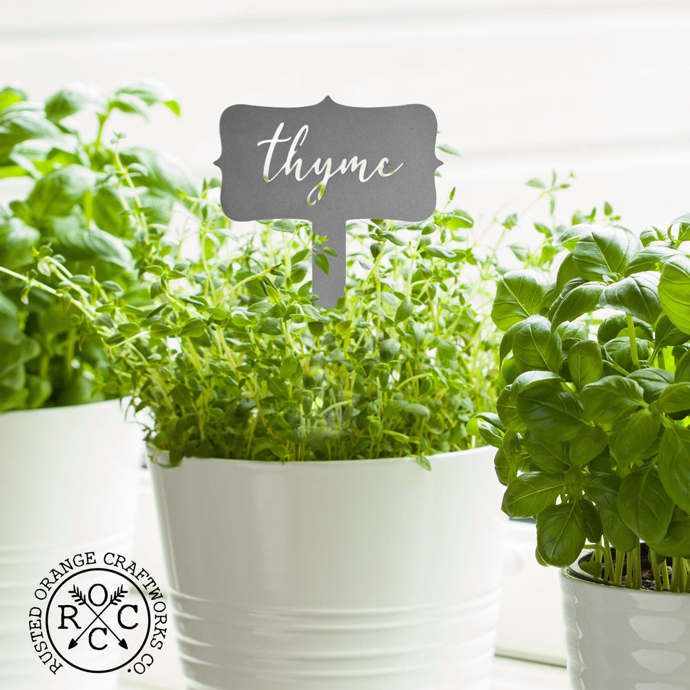Thyme metal herb identification stake in white potted plant.