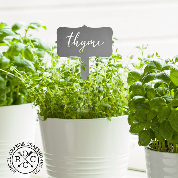 Thyme metal herb identification stake in white potted plant.